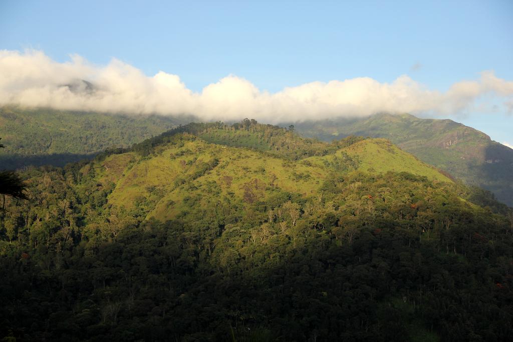 Hotel Ecotones Munnar By Eden Environs Zewnętrze zdjęcie