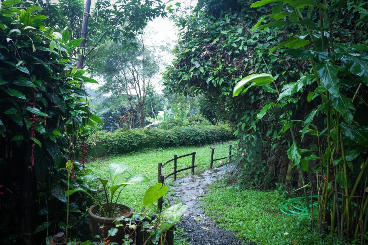 Hotel Ecotones Munnar By Eden Environs Zewnętrze zdjęcie