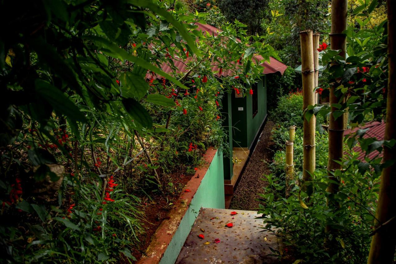 Hotel Ecotones Munnar By Eden Environs Zewnętrze zdjęcie