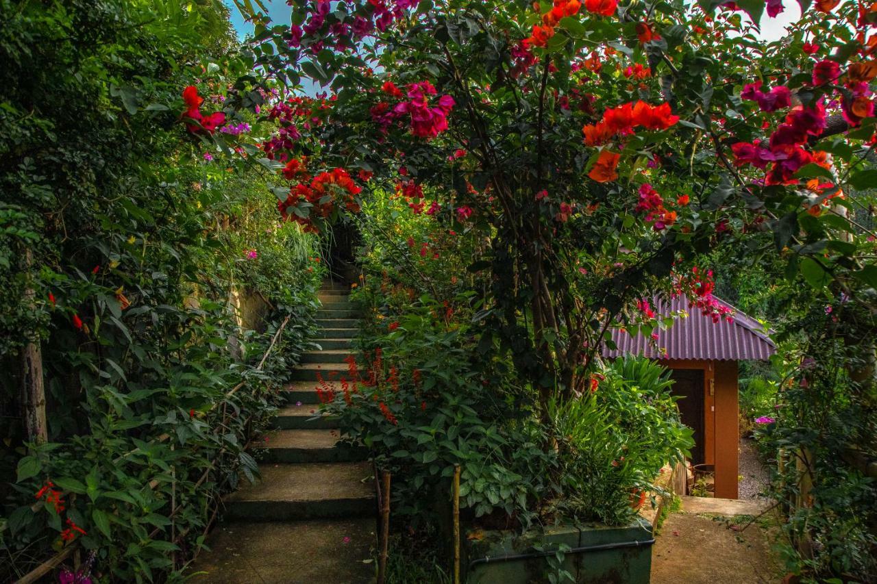Hotel Ecotones Munnar By Eden Environs Zewnętrze zdjęcie