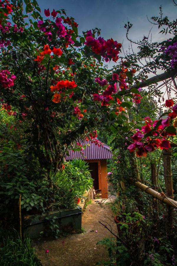 Hotel Ecotones Munnar By Eden Environs Zewnętrze zdjęcie