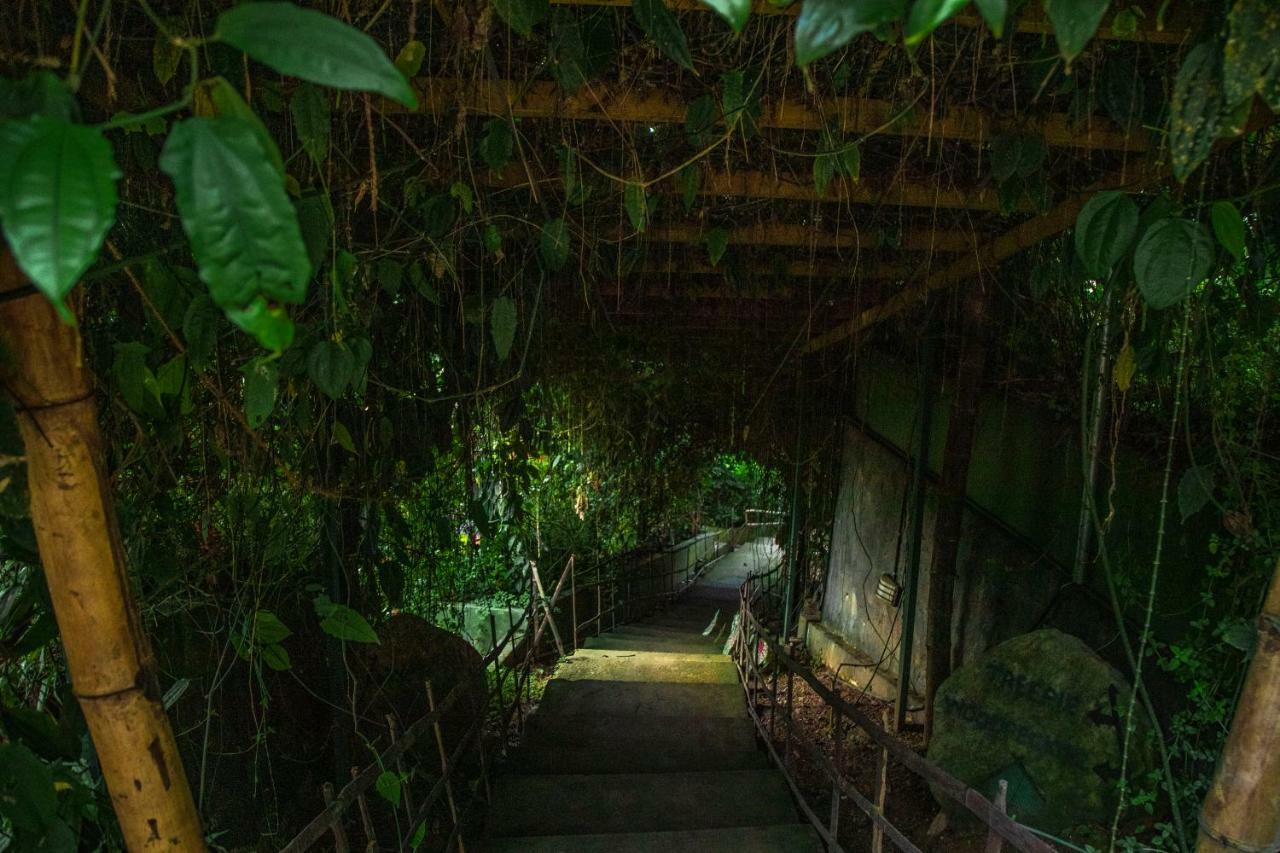 Hotel Ecotones Munnar By Eden Environs Zewnętrze zdjęcie