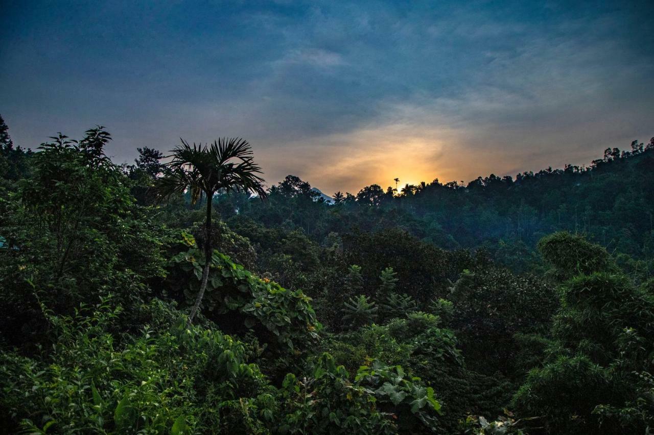 Hotel Ecotones Munnar By Eden Environs Zewnętrze zdjęcie