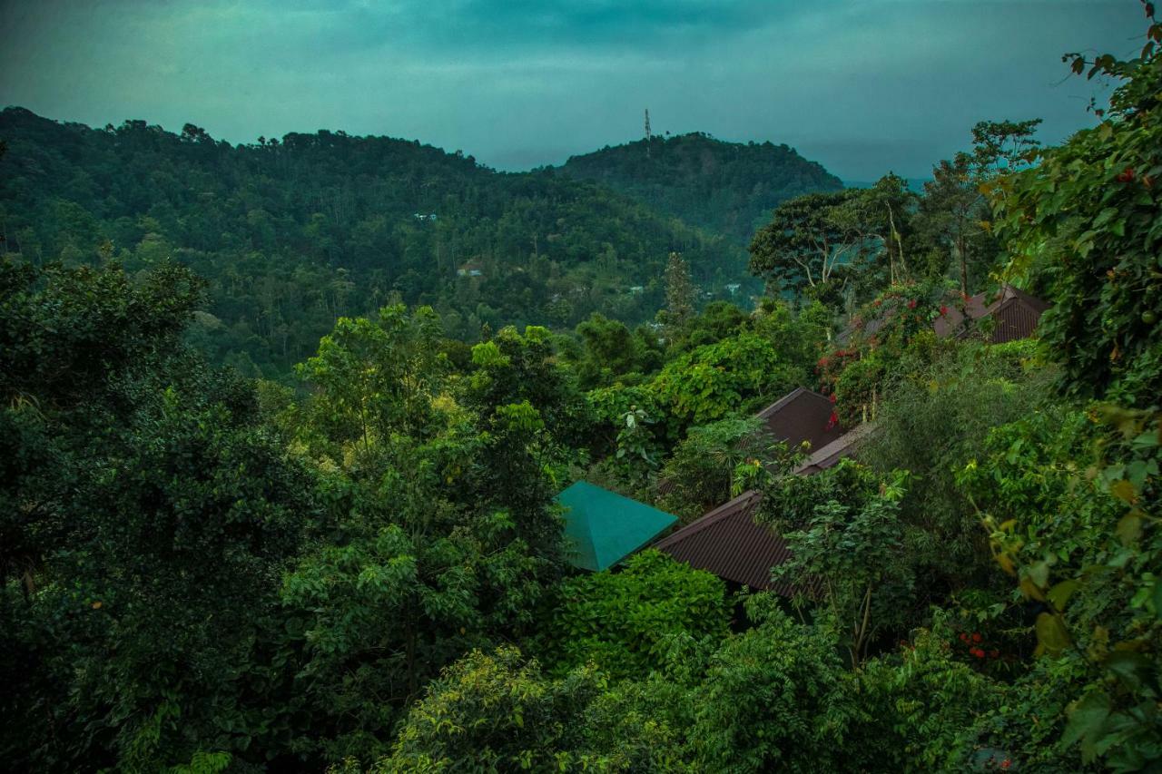 Hotel Ecotones Munnar By Eden Environs Zewnętrze zdjęcie